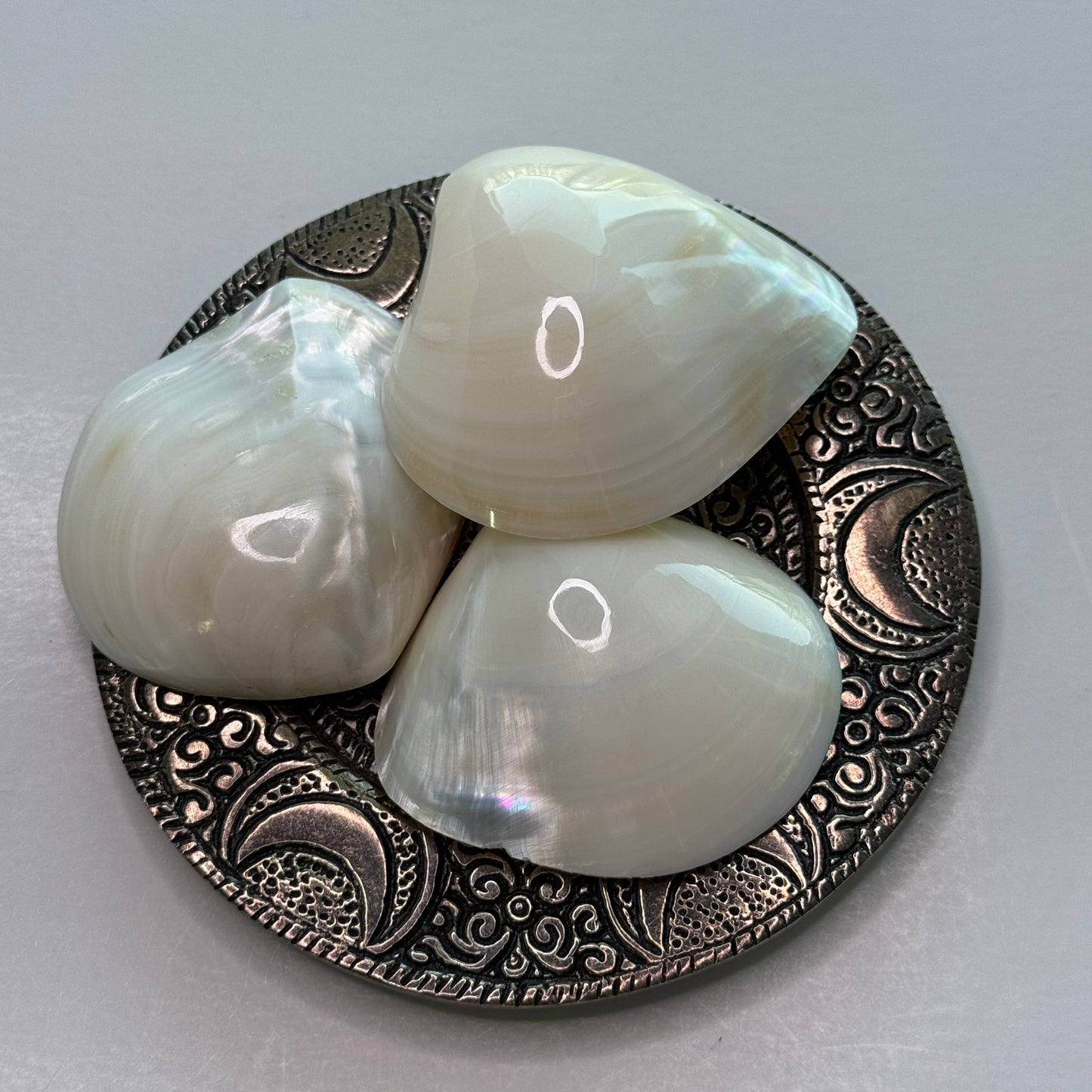Fresh water pearled clam shell halves, stunning seashell decor, glossy white clam shells, white shells