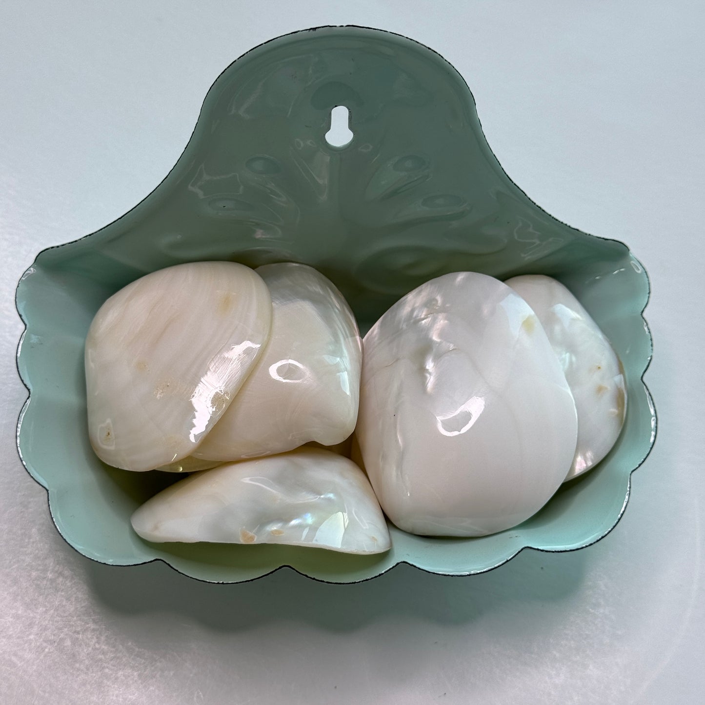 Fresh water pearled clam shell halves, stunning seashell decor, glossy white clam shells, white shells
