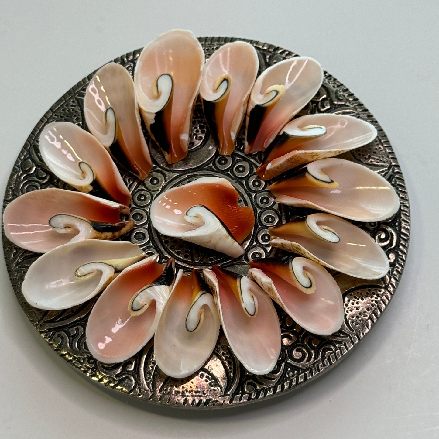 Large Lily Cut Strombus, Approx. 1 -1.5", Cut shells for Crafts, Shell Supply, Beautifully Cut Shells