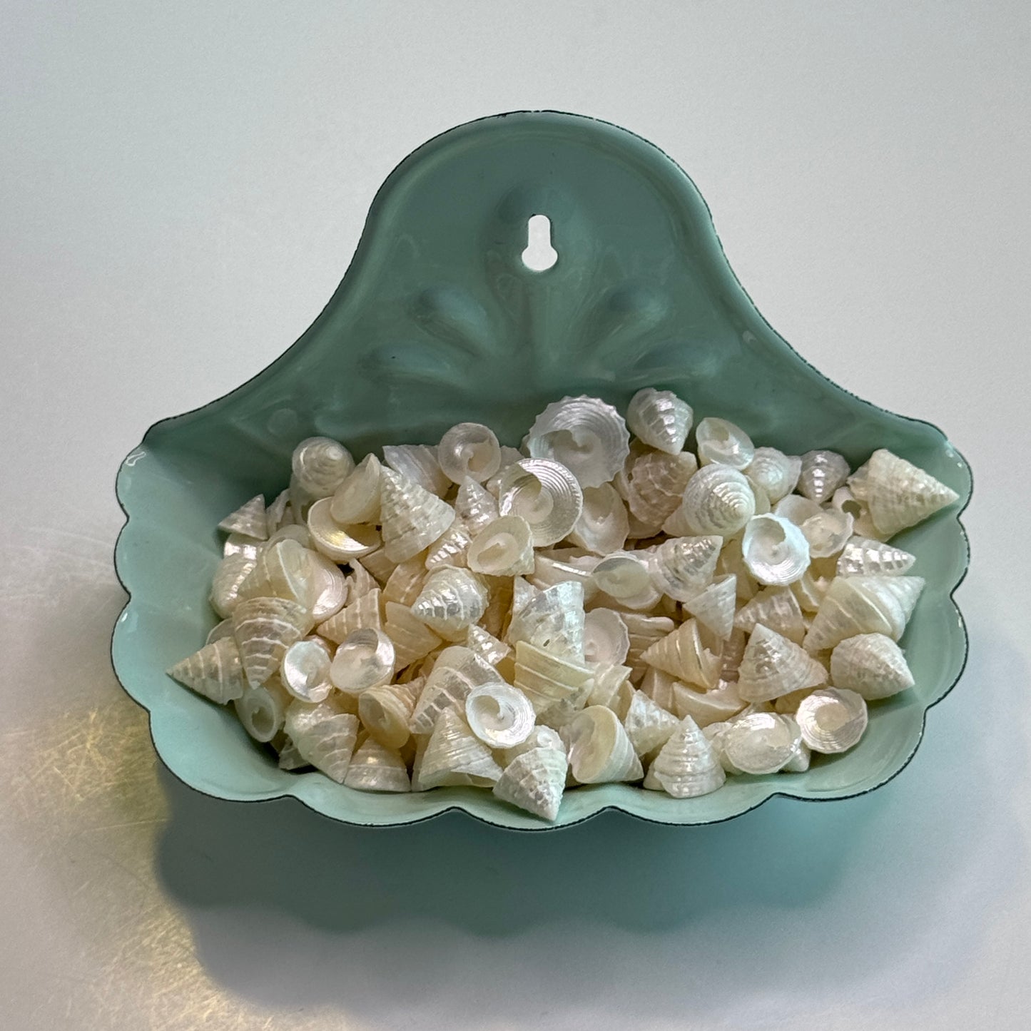 Among Pong, pearled top trochus shells, tiny/small shells used for crafting projects, jewelry making shells