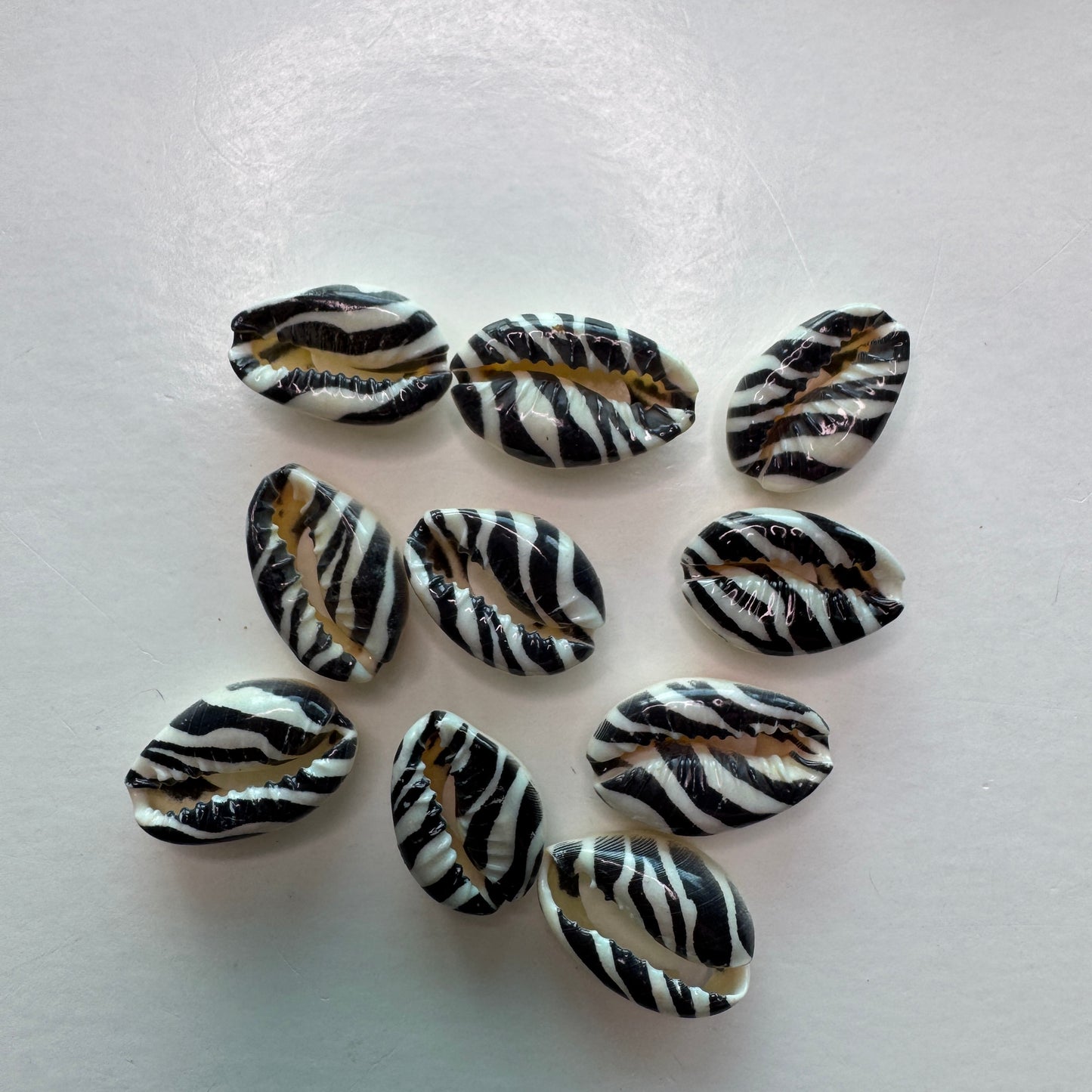 Center cut painted cowrie shells, colorful designs on cut cowrie shells, seashell jewelry, seashell crafts